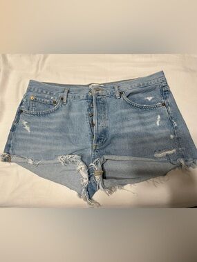 Agolde Vintage Cut Off Short in Swapmeet